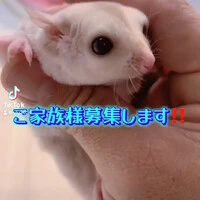 画像249