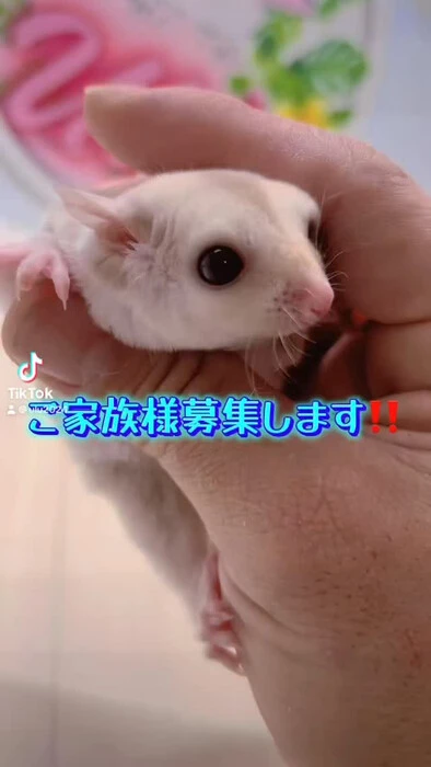 画像249